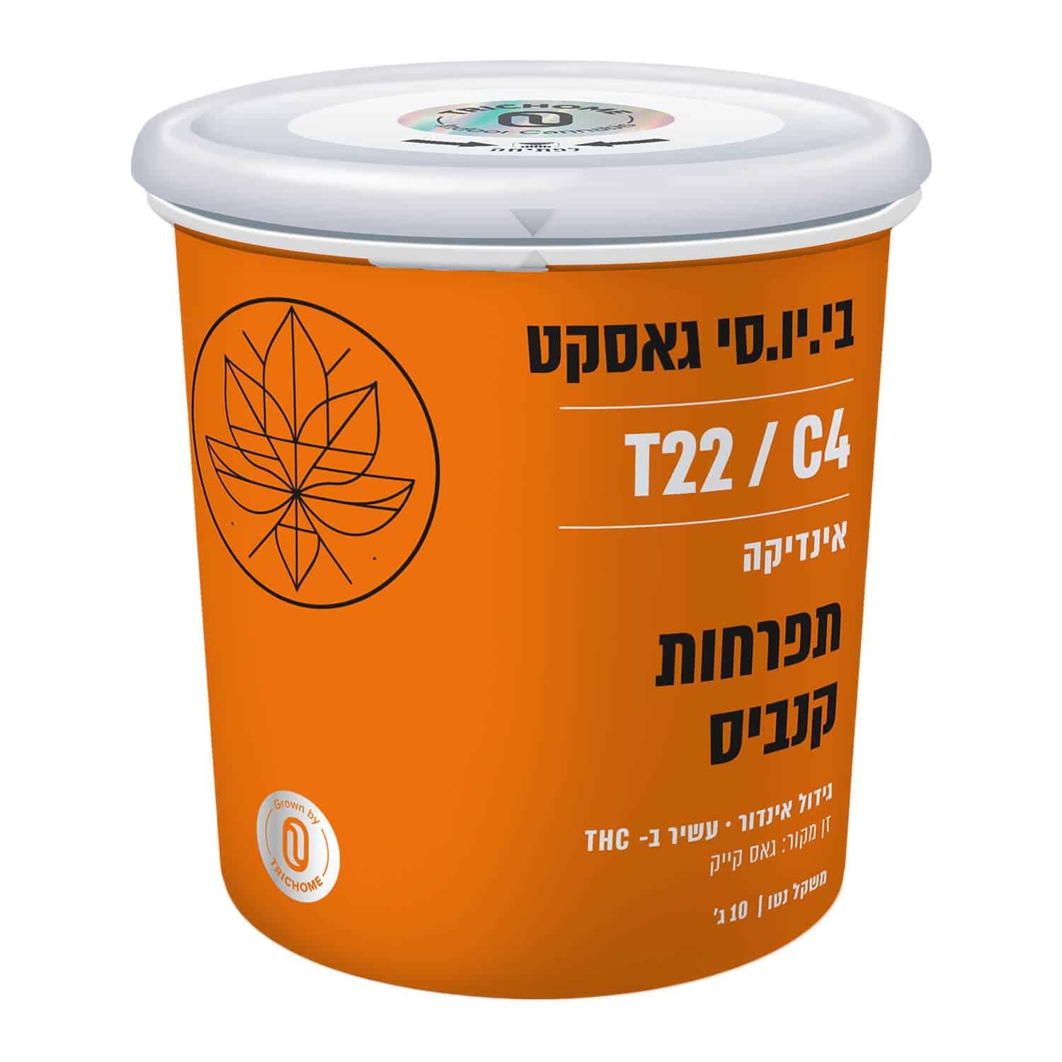 בי.יו.סי גסקט (b.u.c gasket) אינדיקה t22/c4