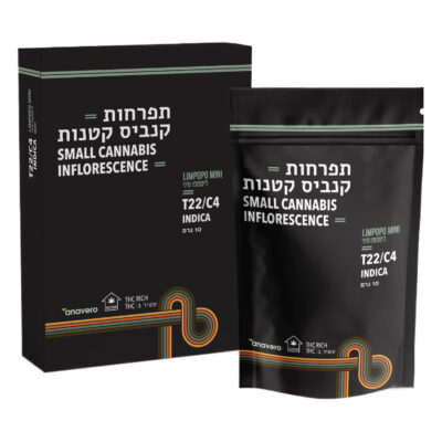 לימפופו מיני (limpopo mini) אינדיקה t22/c4