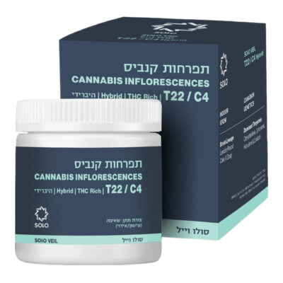 סולו וייל (solo veil) היבריד t22/c4