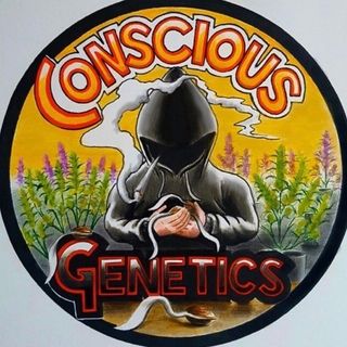קונצ'ס ג'נטיקס (Conscious Genetics)