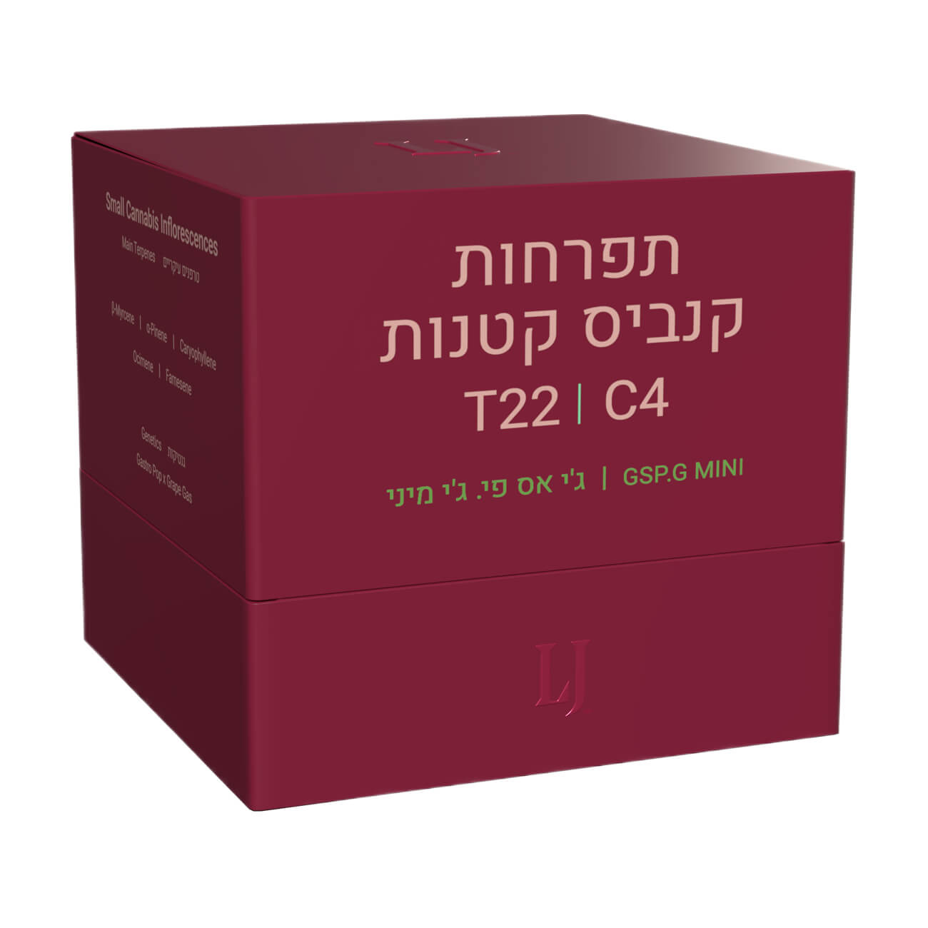 ג'י אס פי.ג'י מיני (gsp.g mini) היבריד t22/c4
