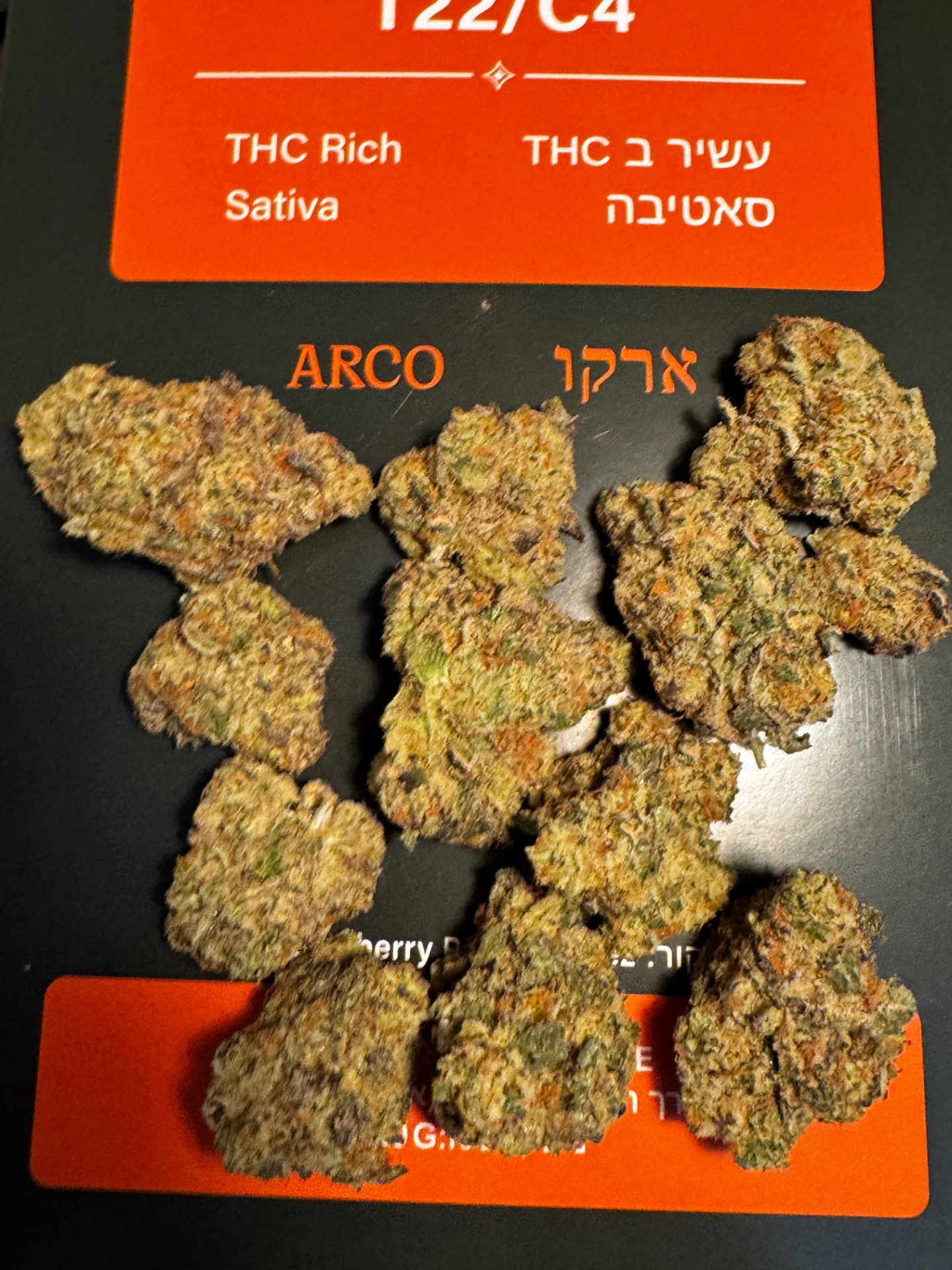ארקו (arco) סאטיבה t22/c4