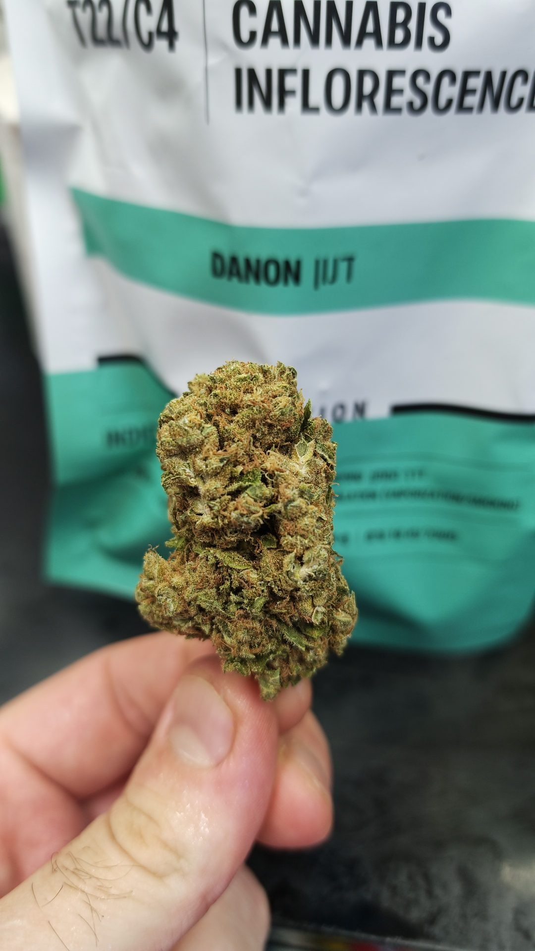 דנון (danon) אינדיקה t22/c4
