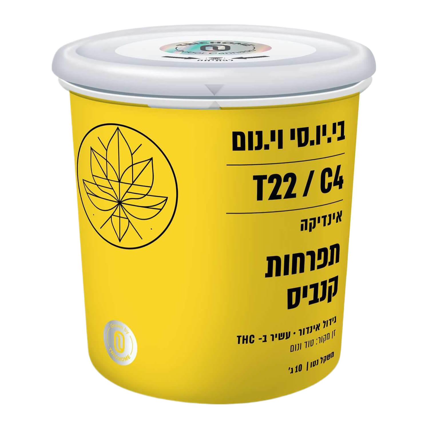 בי.יו.סי וי.נום (b.u.c v.nom) אינדיקה t22/c4
