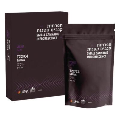 וולגה (volga) סאטיבה t22/c4
