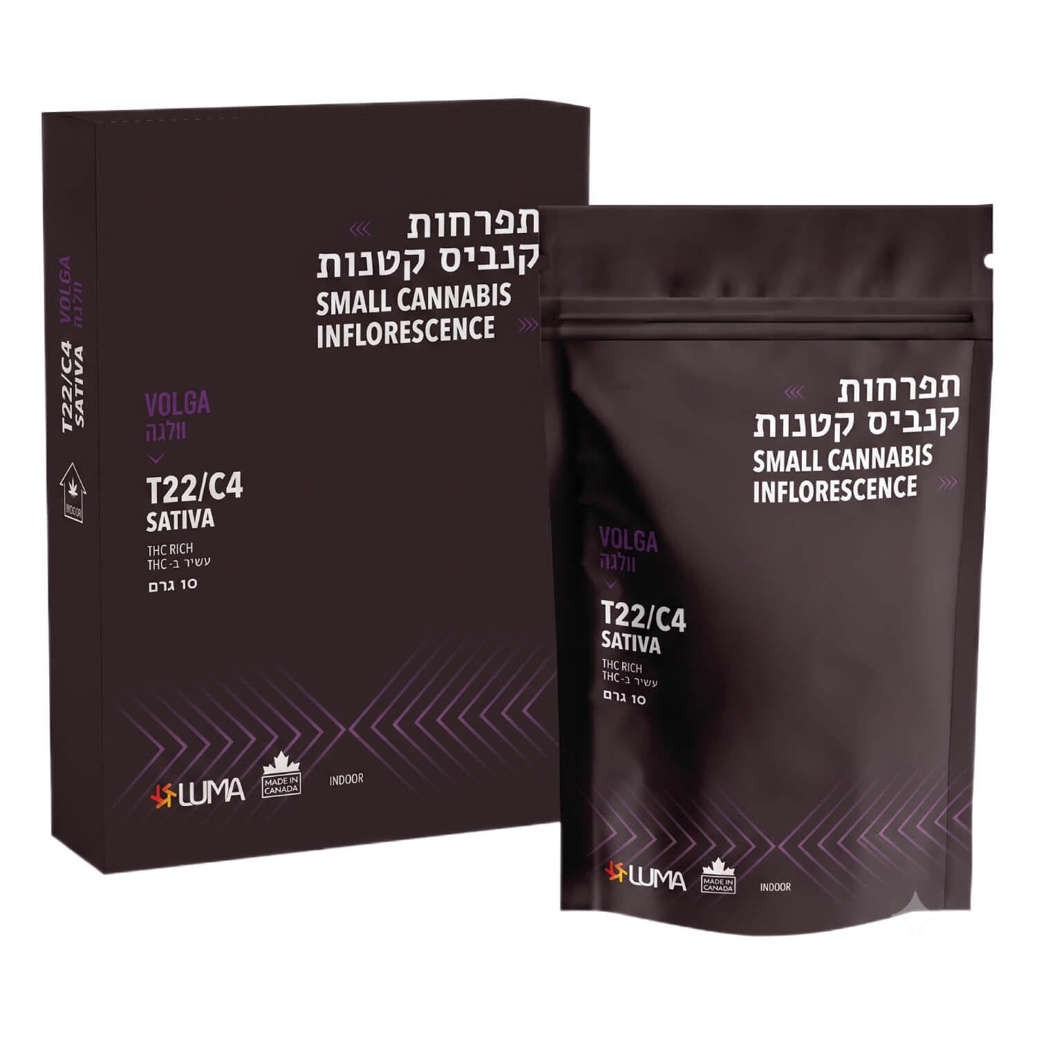וולגה (volga) סאטיבה t22/c4