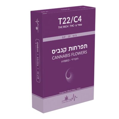 בי.פי 31 (b.p 31) היבריד t22/c4