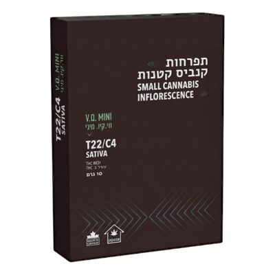 וי.קיו מיני (vq mini) סאטיבה t22/c4