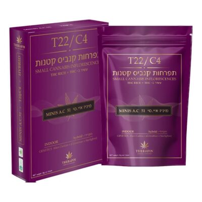 איי.סי.51 מיני (a.c.51 mini) היבריד t22/c4