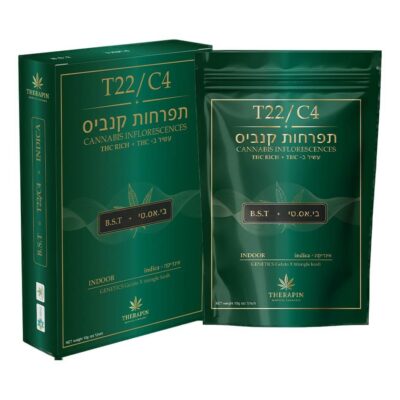 בי.אס.טי (b.s.t) אינדיקה t22/c4