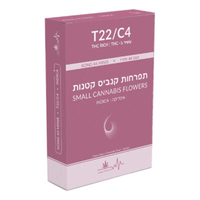 קונג 44 מיני (kong 44 mini) אינדיקה t22/c4