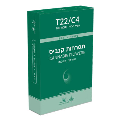 בי.קיי.איי (b.k.a) אינדיקה t22/c4