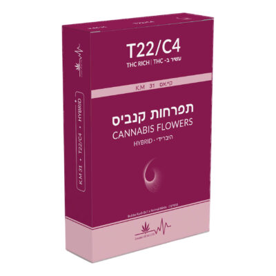 קיי.אם 31 (k.m 31) היבריד t22/c4