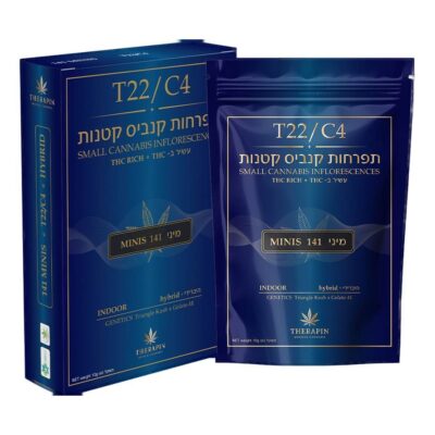 141 מיני (141 mini) היבריד t22/c4