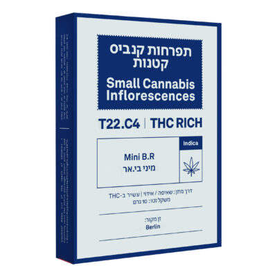 בי אר מיני (br mini) אינדיקה t22/c4
