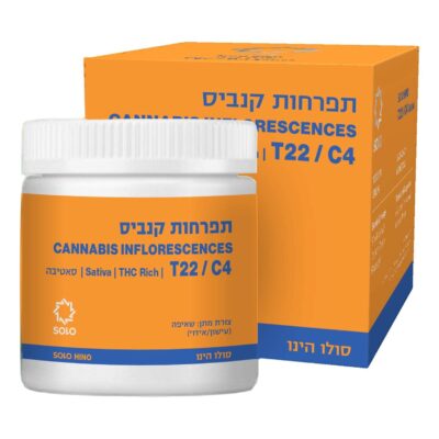 סולו הינו (solo hino) סאטיבה t22/c4