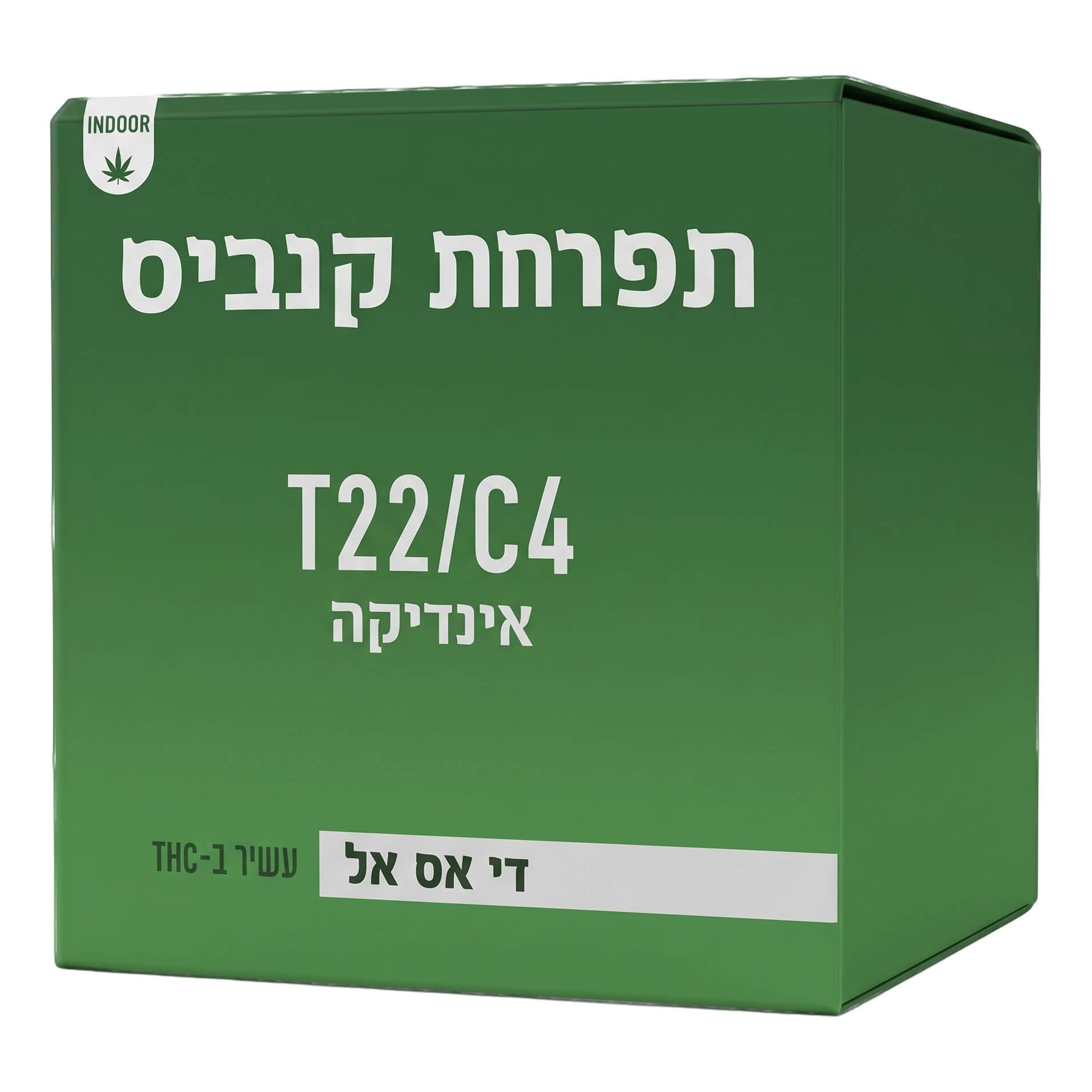 די אס אל (dsl) אינדיקה t22/c4