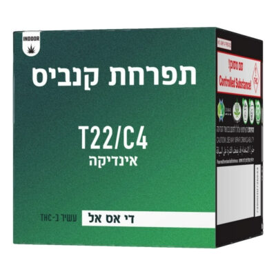 די אס אל (dsl) אינדיקה t22/c4