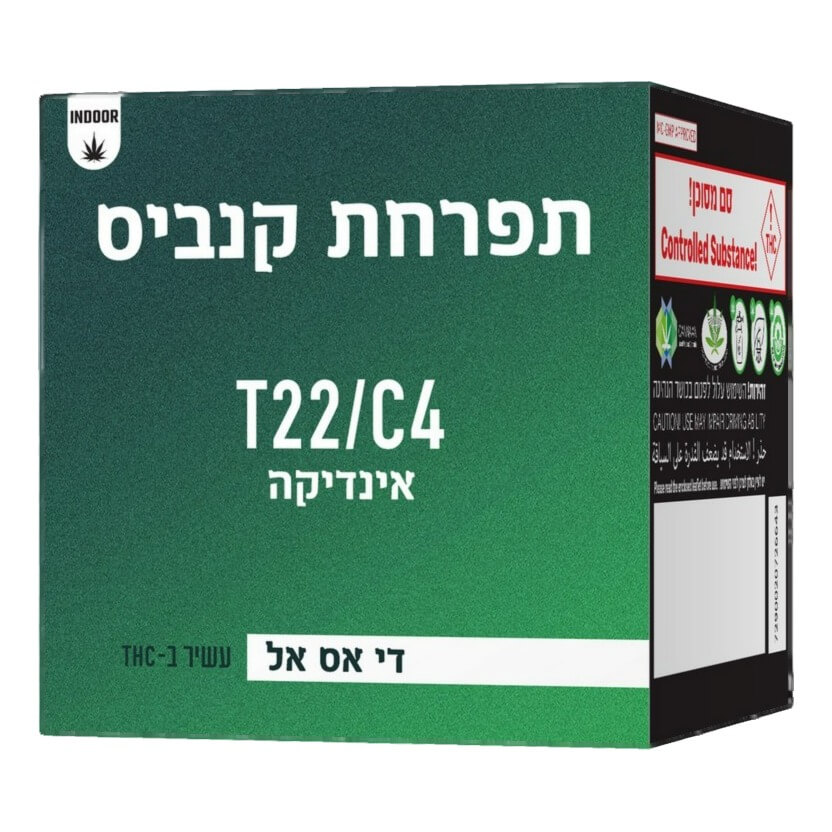 די אס אל (DSL) - אינדיקה T22/C4