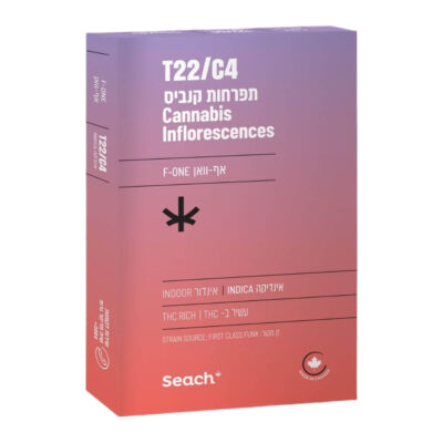 אף-וואן (F-One) - אינדיקה T22/C4