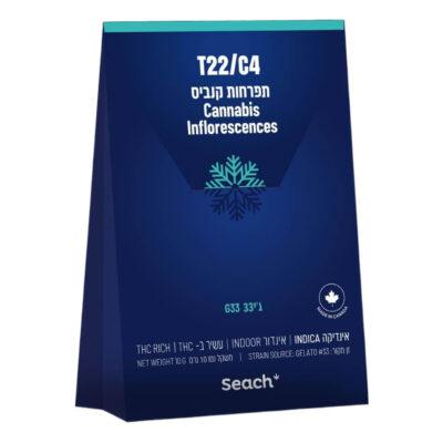 ג'י33 (G33) - אינדיקה T22/C4