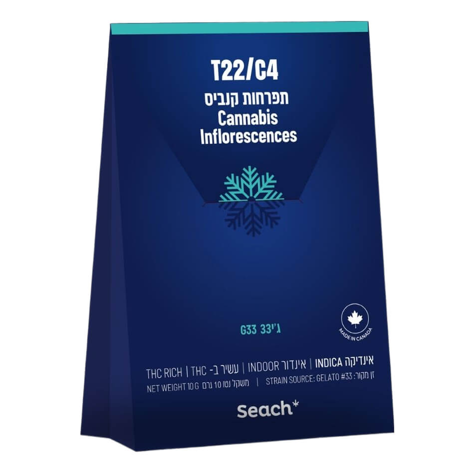 ג'י33 (G33) - אינדיקה T22/C4