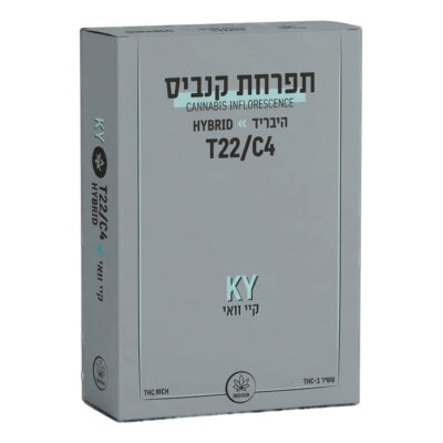 קיי.וואי (ky) היבריד t22/c4