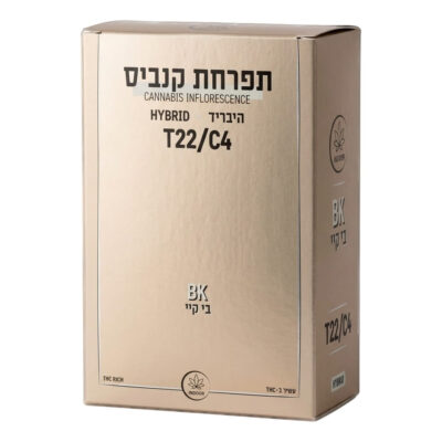 בי.קיי (bk) היבריד t22/c4