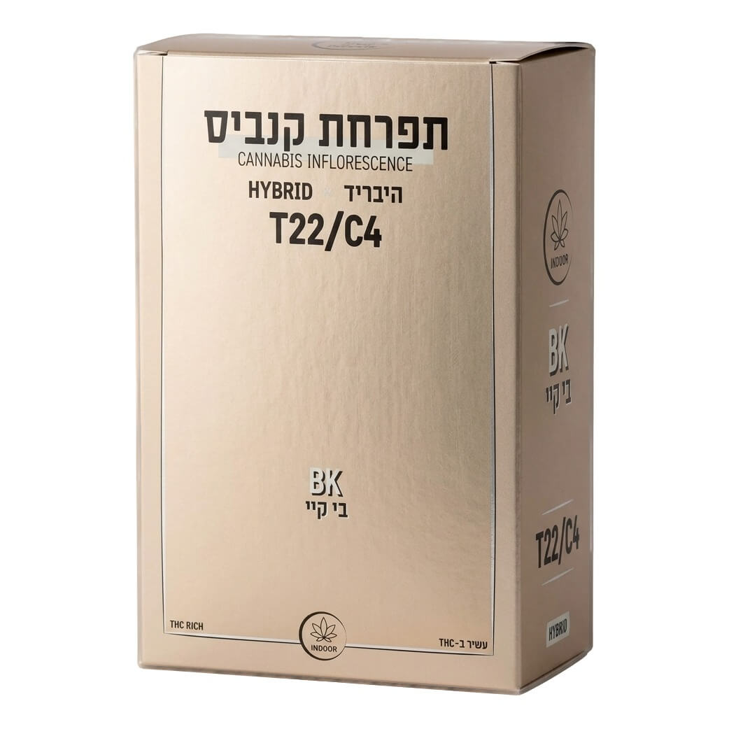 בי.קיי (bk) היבריד t22/c4
