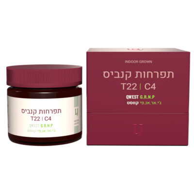 ג'י אר.אן.פי קווסט (Qwest G.R.N.P) - אינדיקה T22/C4
