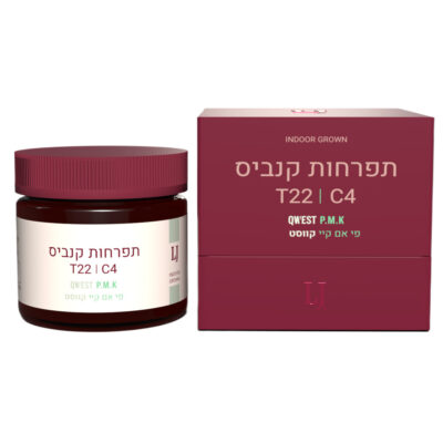 פי.אם.קיי קווסט (Qwest P.M.K) - אינדיקה T22/C4