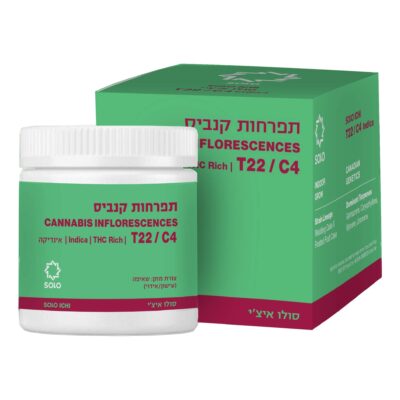 סולו איצ'י (solo ichi) אינדיקה t22/c4