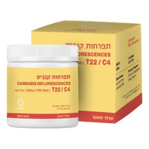 סולו סאטו (Solo Sato) – אינדיקה T22/C4