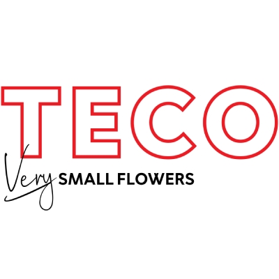 לוגו של טקו (TECO)