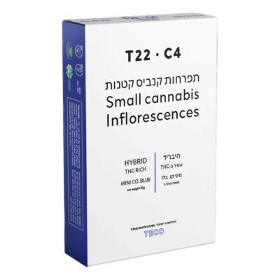 קו. בלו מיני (co. blue mini) היבריד t22/c4 (העתק)
