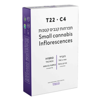 קו. פרפל מיני (co. purple mini) אינדיקה t22/c4
