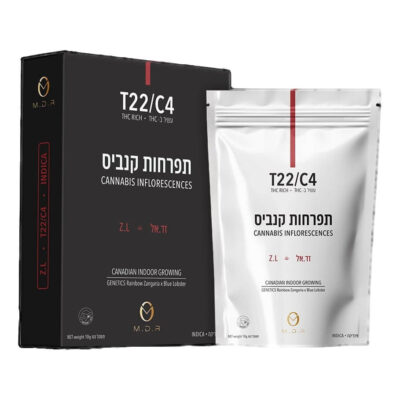 זד.אל (z.l) אינדיקה t22/c4