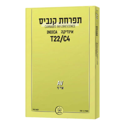 איי.וי (av) אינדיקה t22/c4