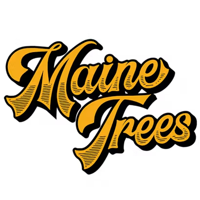 מיין טריז (Maine Trees)