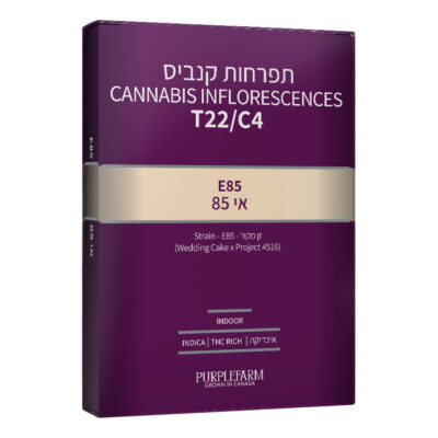 אי85 (e85) אינדיקה t22/c4