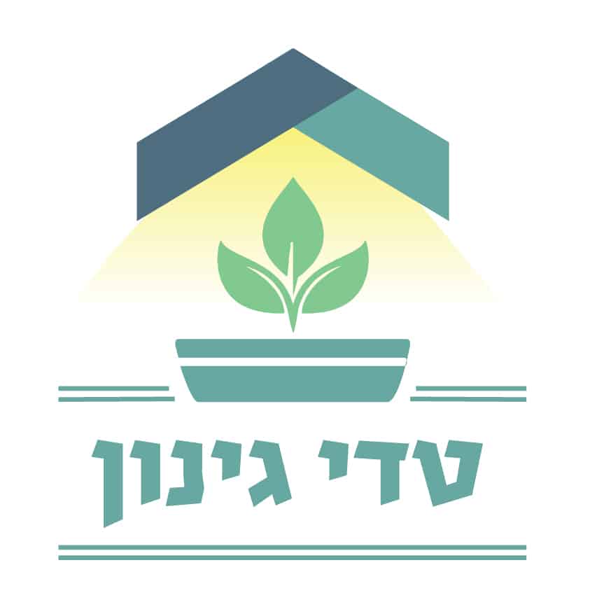 טדי גינון