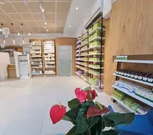 תמונת גלריה