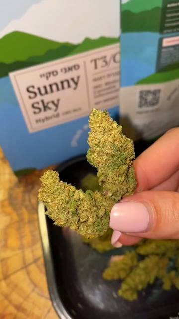 ביקורת וידאו על סאני סקיי (Sunny Sky) - היבריד T3/C15