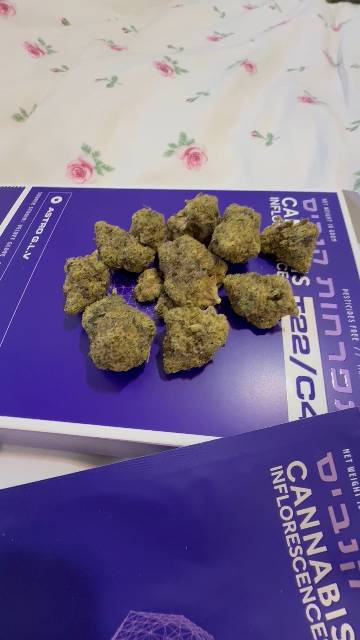 ביקורת וידאו על אסטרו ג'י.אל.וי (Astro G.L.V) - סאטיבה T22/C4