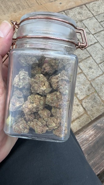 ביקורת וידאו על פרפל גל מיני (‎Purple Gal Mini) - אינדיקה T22/C4