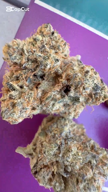ביקורת וידאו על טריינגל קוש (Triangle Kush) - אינדיקה T22/C4