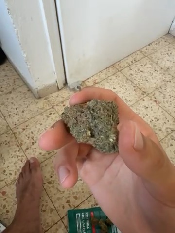 סרטון מביקורת