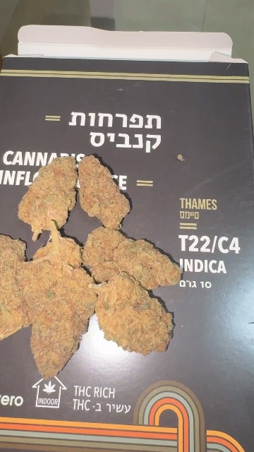 ביקורת וידאו על טיימס (Thames) - אינדיקה T22/C4