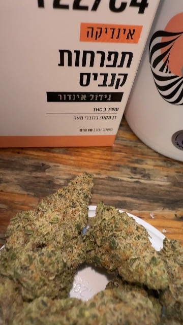 ביקורת וידאו על אלמי (Almi) - אינדיקה T22/C4
