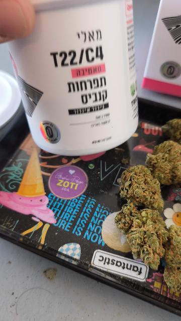 ביקורת וידאו על מאלי (‎Mali) - סאטיבה T22/C4